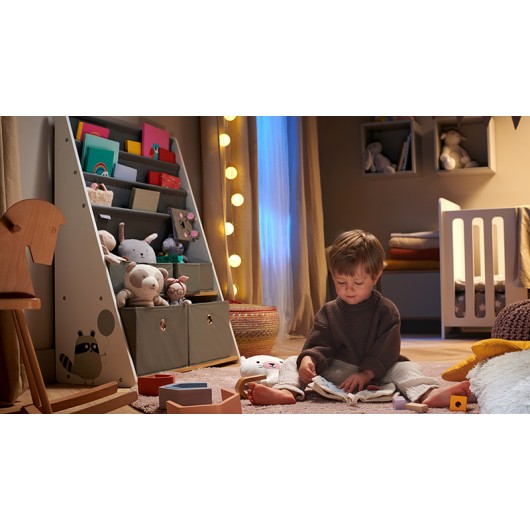 Bibliothèque Kinderkraft Racoon