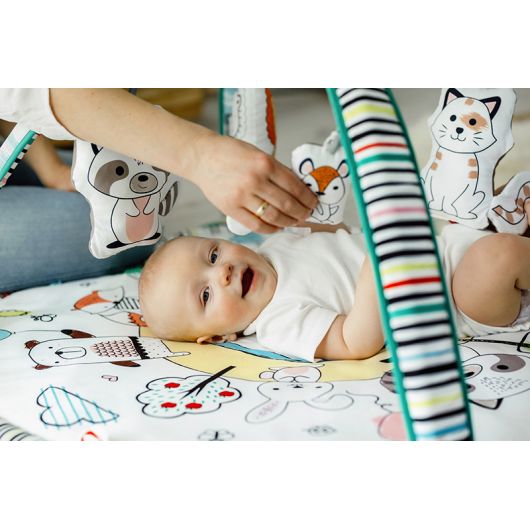 Tapis de jeu Lionelo Paula Plus