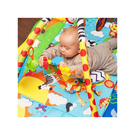 Tapis de jeu Lionelo Anika Plus Multicolor