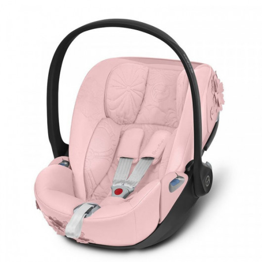 Siege auto store rose