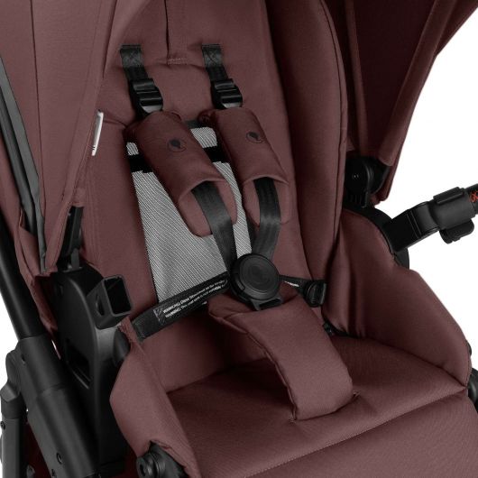 Poussette de sport Salsa 5 Run - ABC Design - Umbra