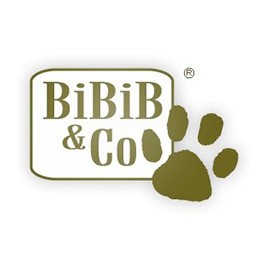 Bibib and Co